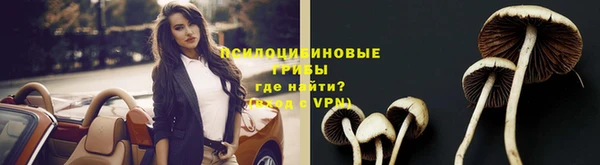 ПСИЛОЦИБИНОВЫЕ ГРИБЫ Магадан