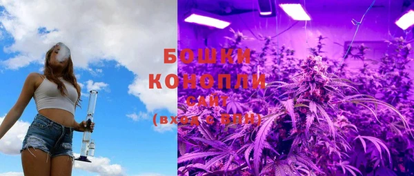 молекула духа Магас