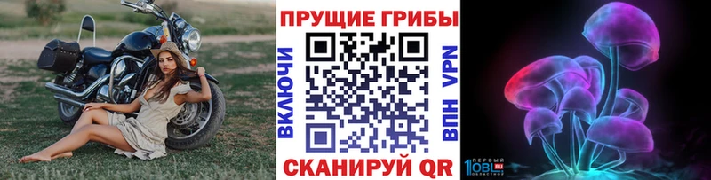 Псилоцибиновые грибы Psilocybe  что такое наркотик  Медвежьегорск 